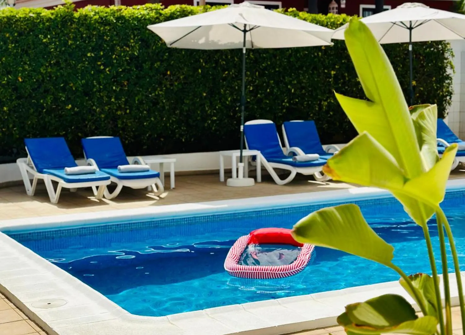 Beachfront Villa And Pool Puerto de Santiago